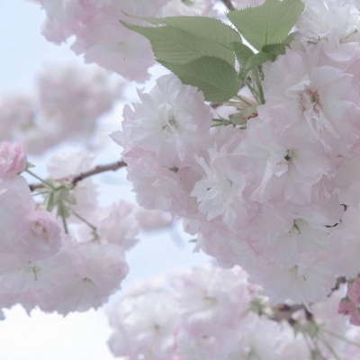 雷州FurryQQ群介绍